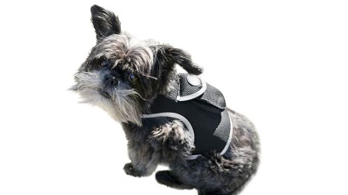 Protect Pet Remotely w/ Pet Tracker Mini Realtime GPS Dog Tracking Systems Size:XL