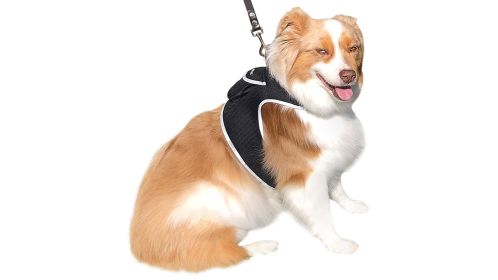 Protect Pet Remotely w/ Pet Tracker Mini Realtime GPS Dog Tracking Systems Size:S