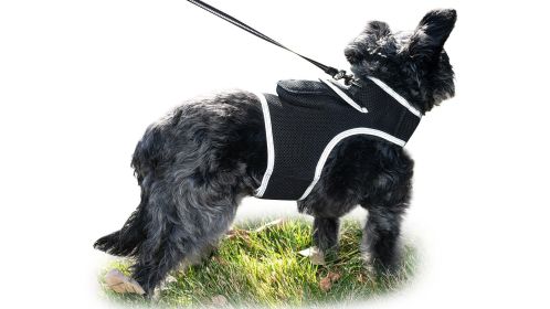 Protect Your Pet with Pet Tracker Pocket Collar GSM GPS Trackers for Dogs Size:S