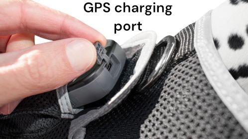 Protect Pet Remotely w/ Pet Tracker Mini Realtime GPS Dog Tracking Systems Size:L