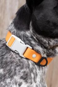 Crimson Glow Waterproof Nylon Dog Collar